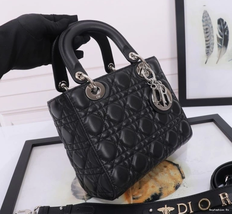 Lady Dior Christian Stylish Bags My 75936 0626